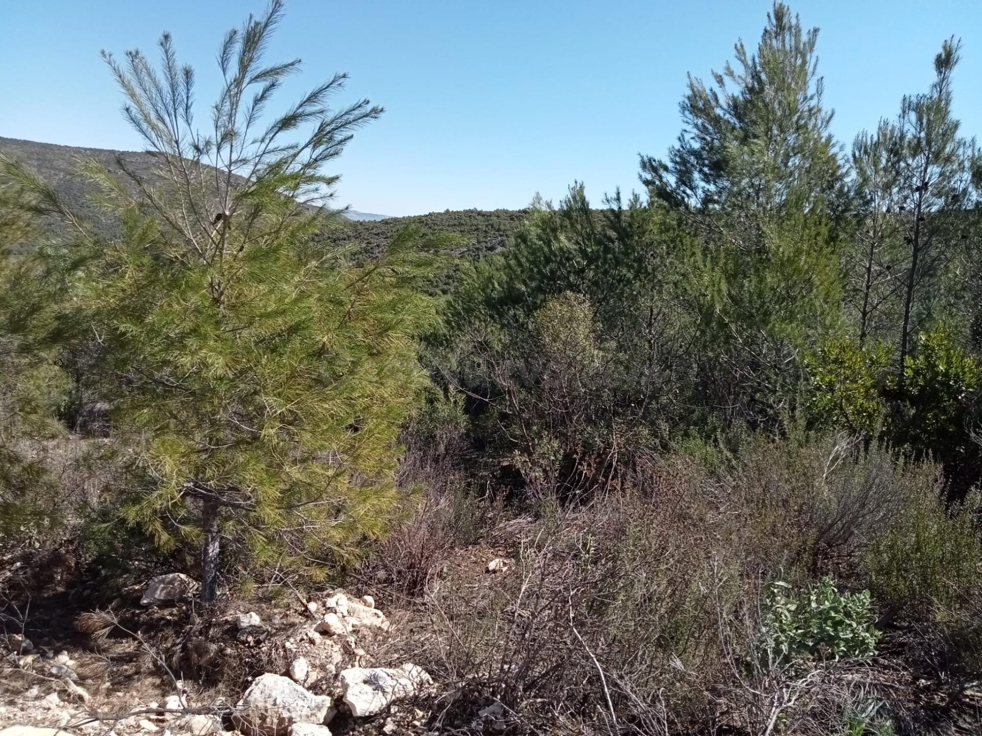 Tegeisa vende parcela de 1204m2 - foto 3