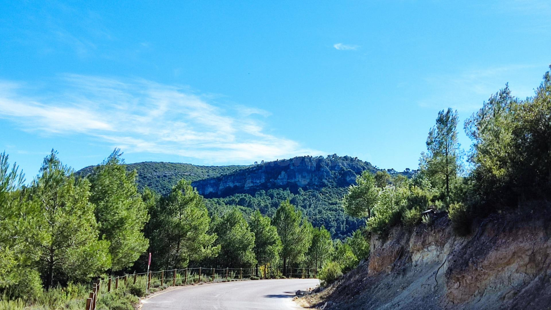 Tegeisa vende parcela con buenas vistas de 1909m2 - foto 4
