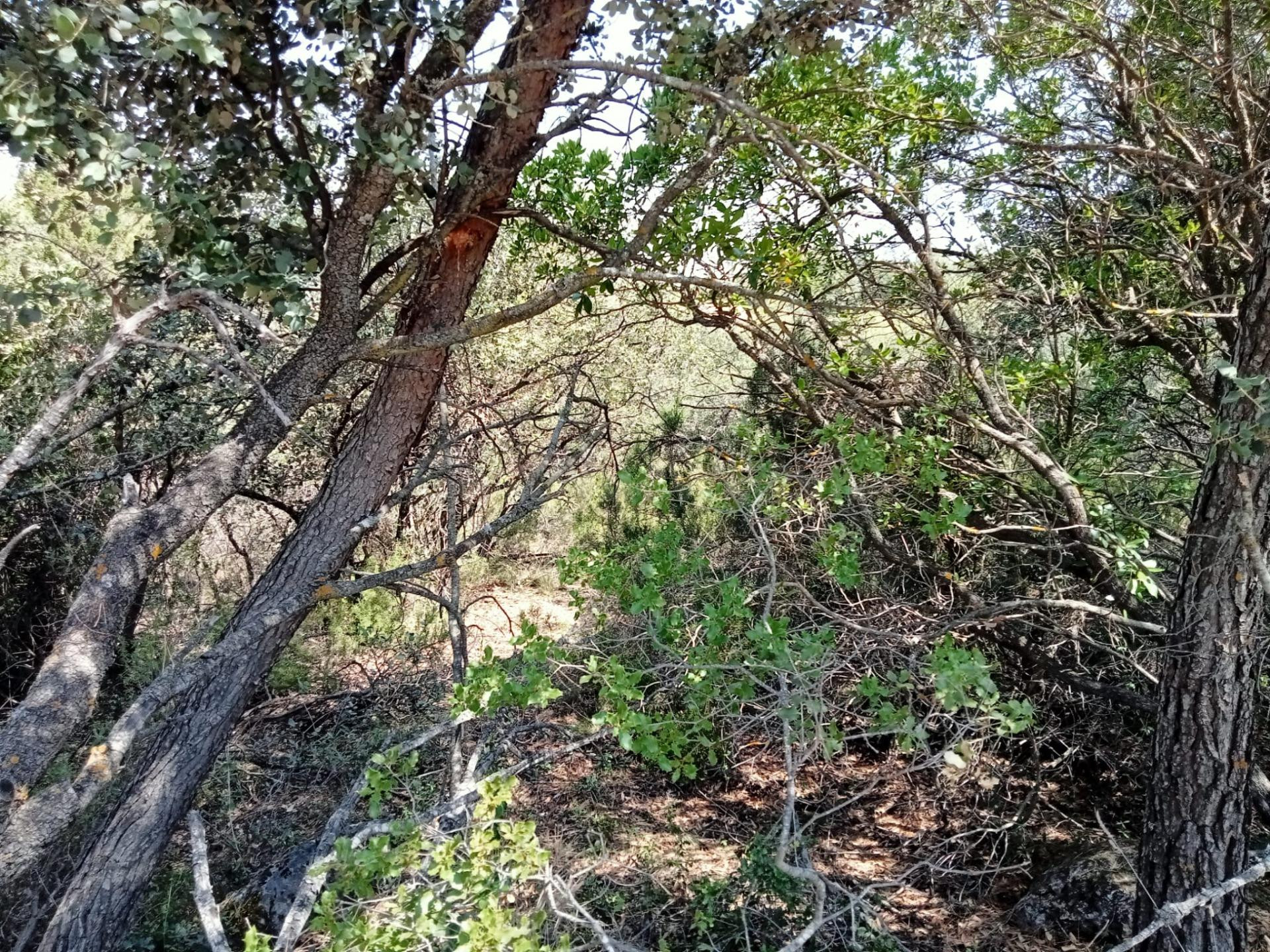 Tegeisa vende parcela de 759 m2