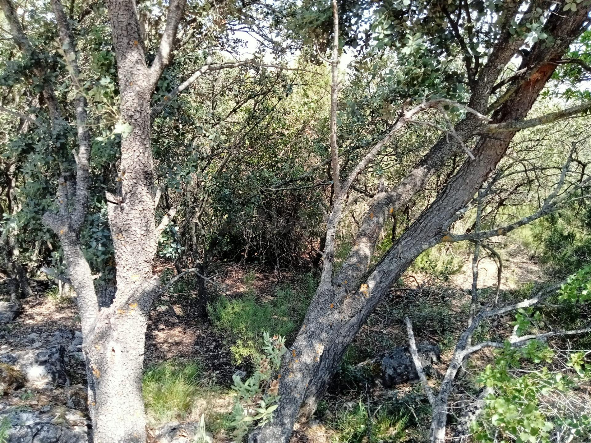 Tegeisa vende parcela de 759 m2 - foto 3