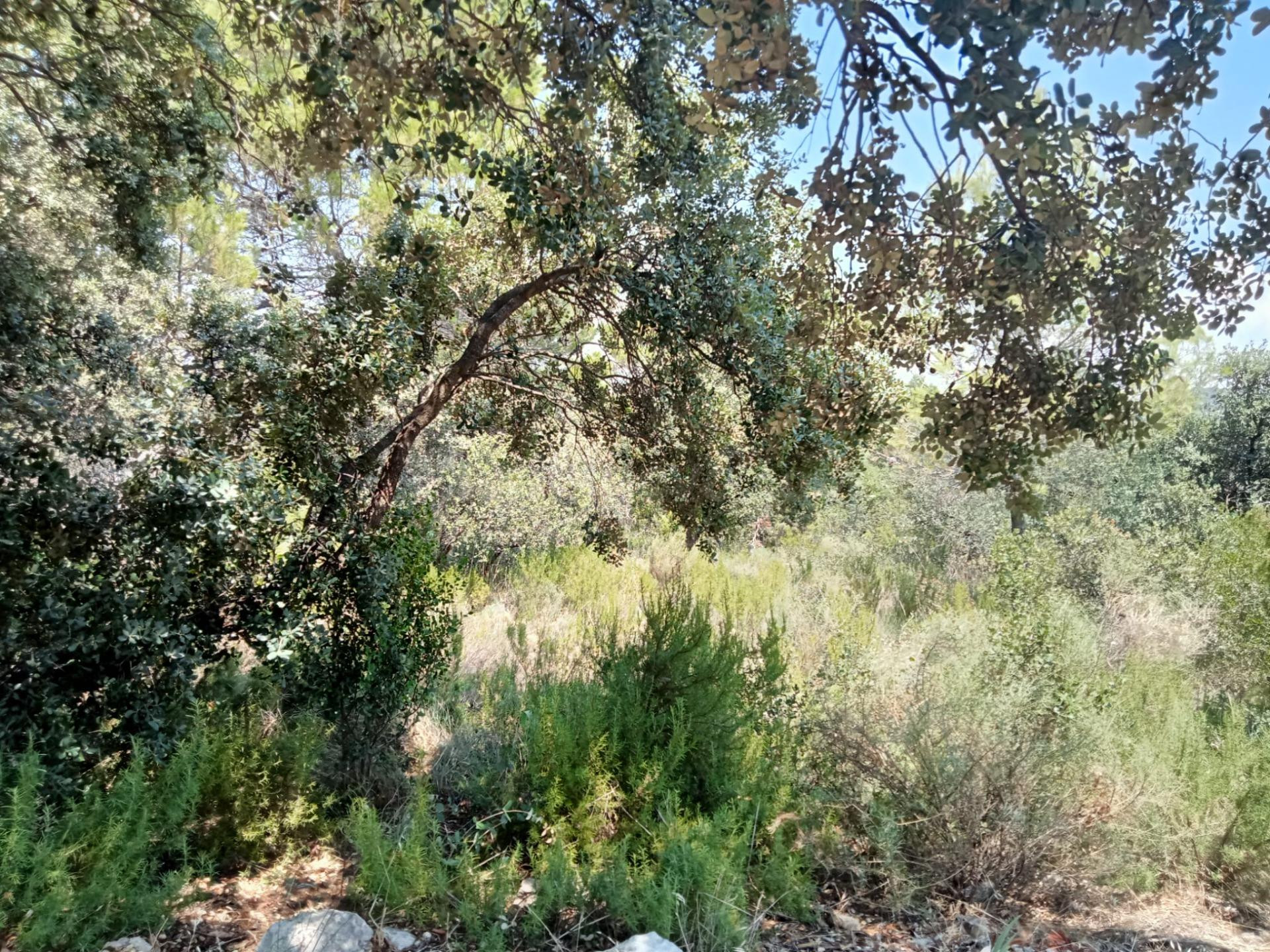 Tegeisa vende parcela llana de 1.131m2