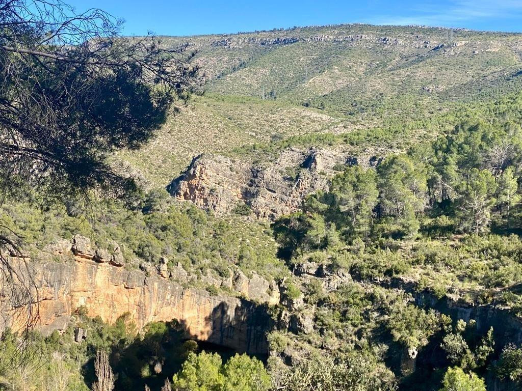 Tegeisa vende parcela llana de 1.131m2 - foto 3