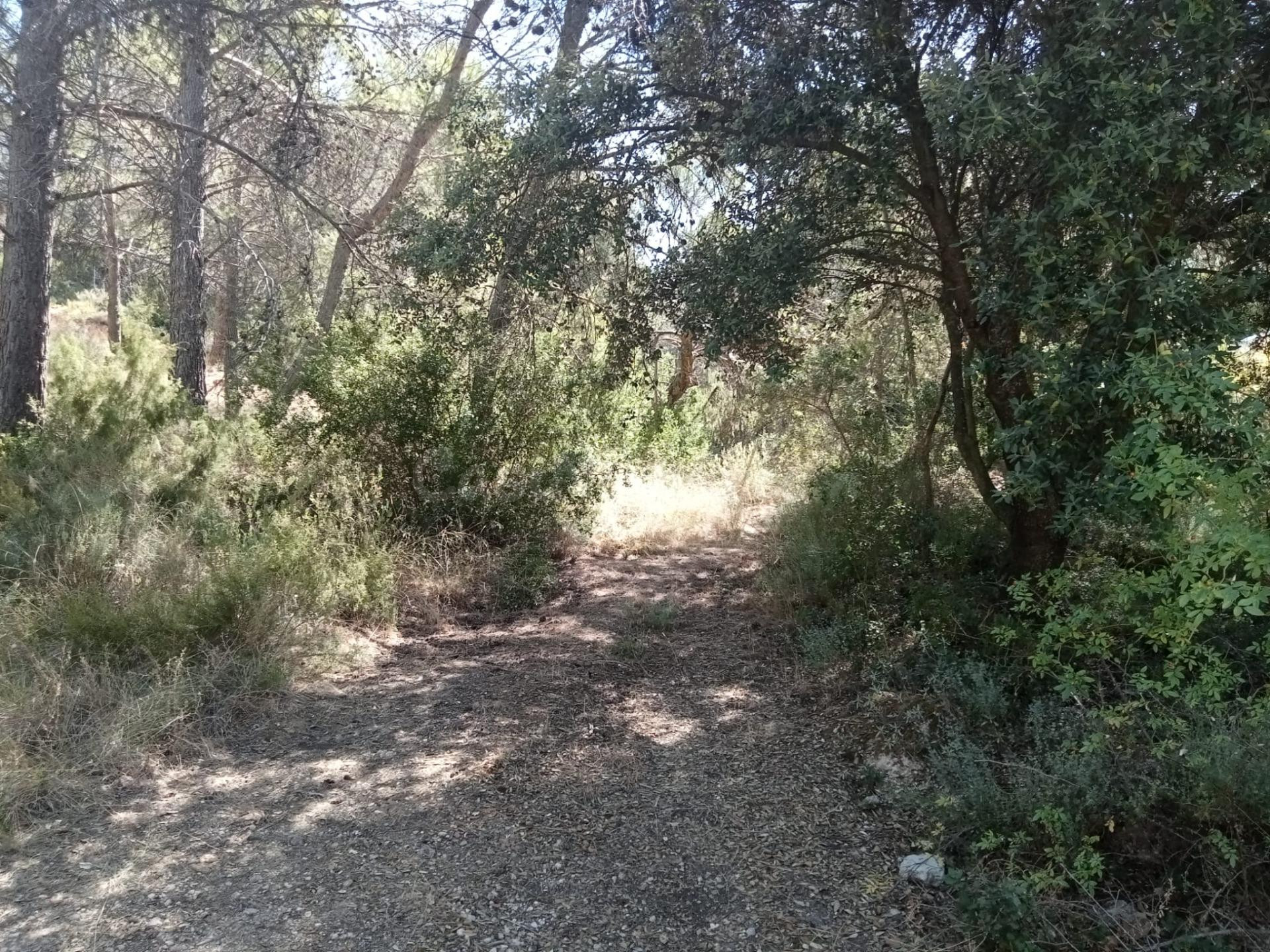 Tegeisa vende Parcela semillana de 741m2 - foto 2