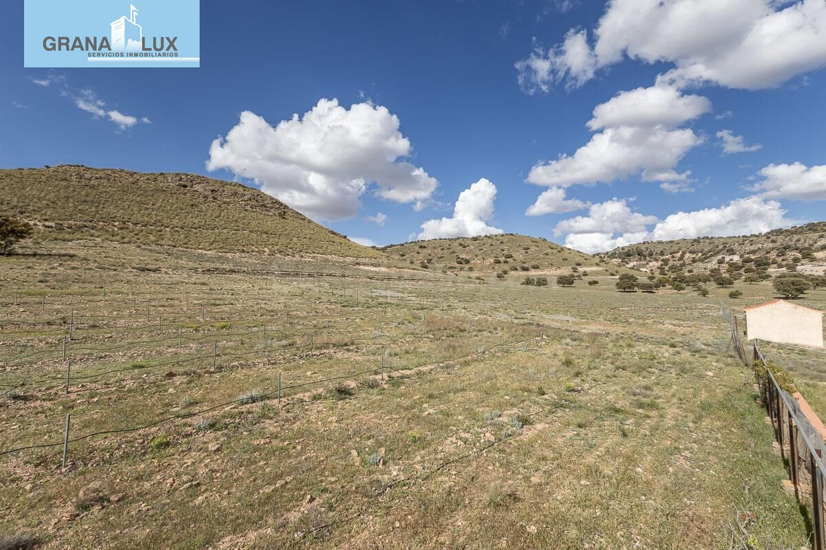 SE VENDE ESPECTACULAR FINCA EL LAUNERO EN GUADIX - foto 3