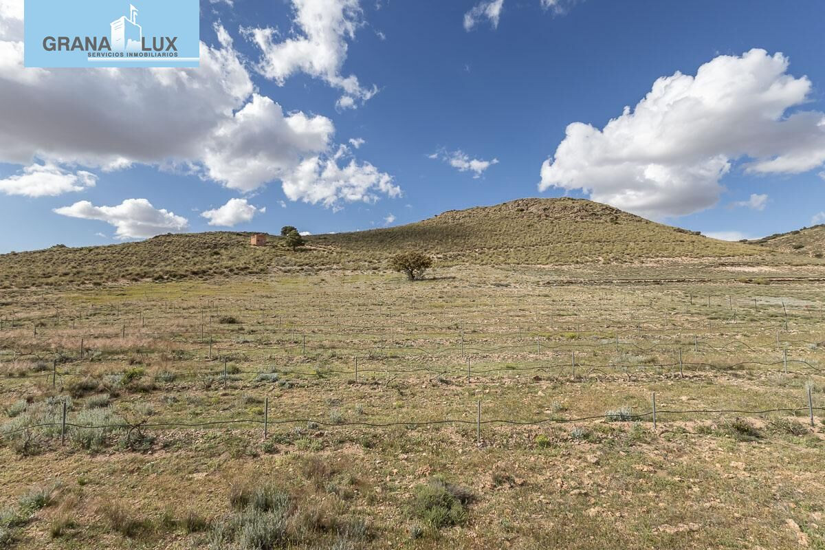 SE VENDE ESPECTACULAR FINCA EL LAUNERO EN GUADIX - foto 4