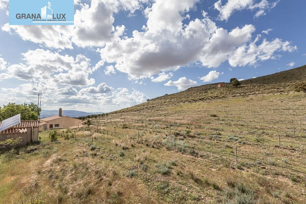 SE VENDE ESPECTACULAR FINCA EL LAUNERO EN GUADIX - foto 5