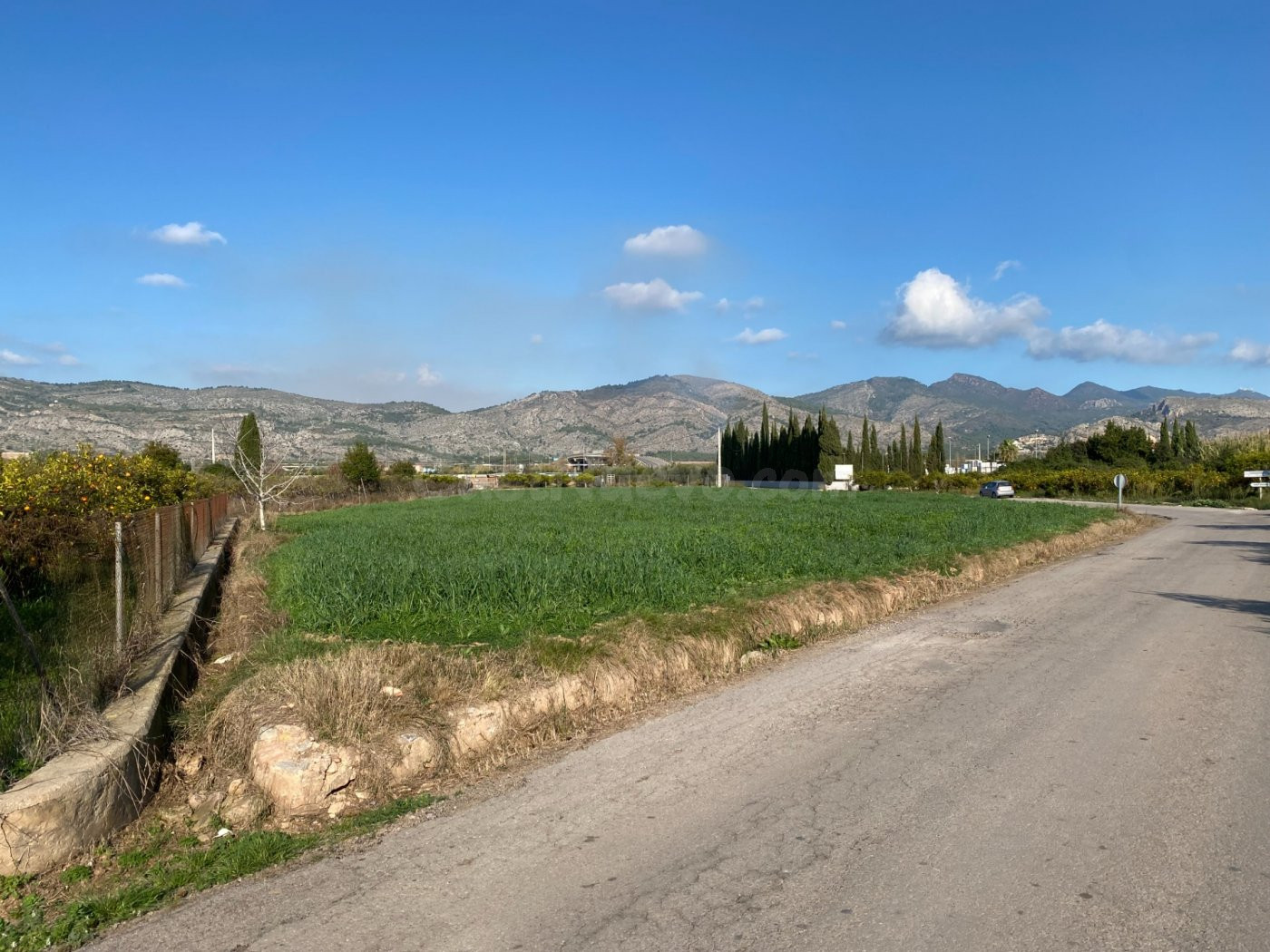TERRENO RÚSTICO EN CAMÍ D´EN RIERA