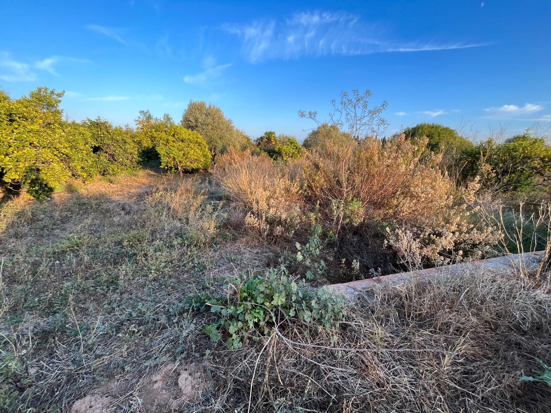 TERRENO AGRARÍO EN, CASTELLÓN, ZONA CAMINO DE LA PLANA
