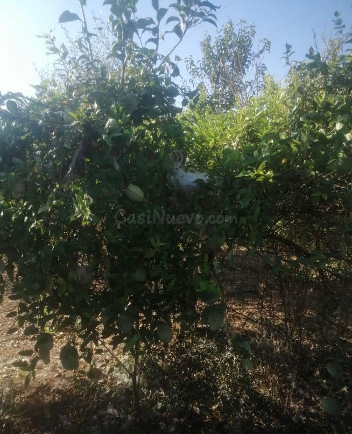 ¡Oportunidad única! Se vende suelo rústico - foto 2