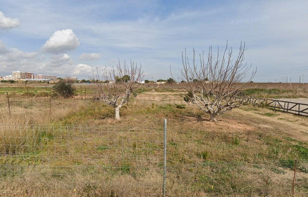 Parcela en venta - Comunidad valenciana - foto 2