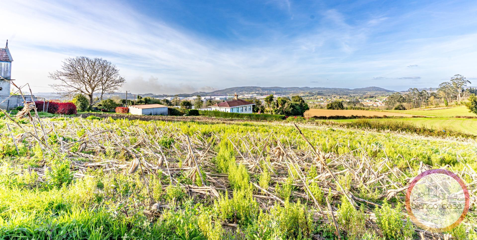 SOLAR de 1.510 m2 EN A LARACHA (A Coruña) por sólo 64.990 € - foto 2