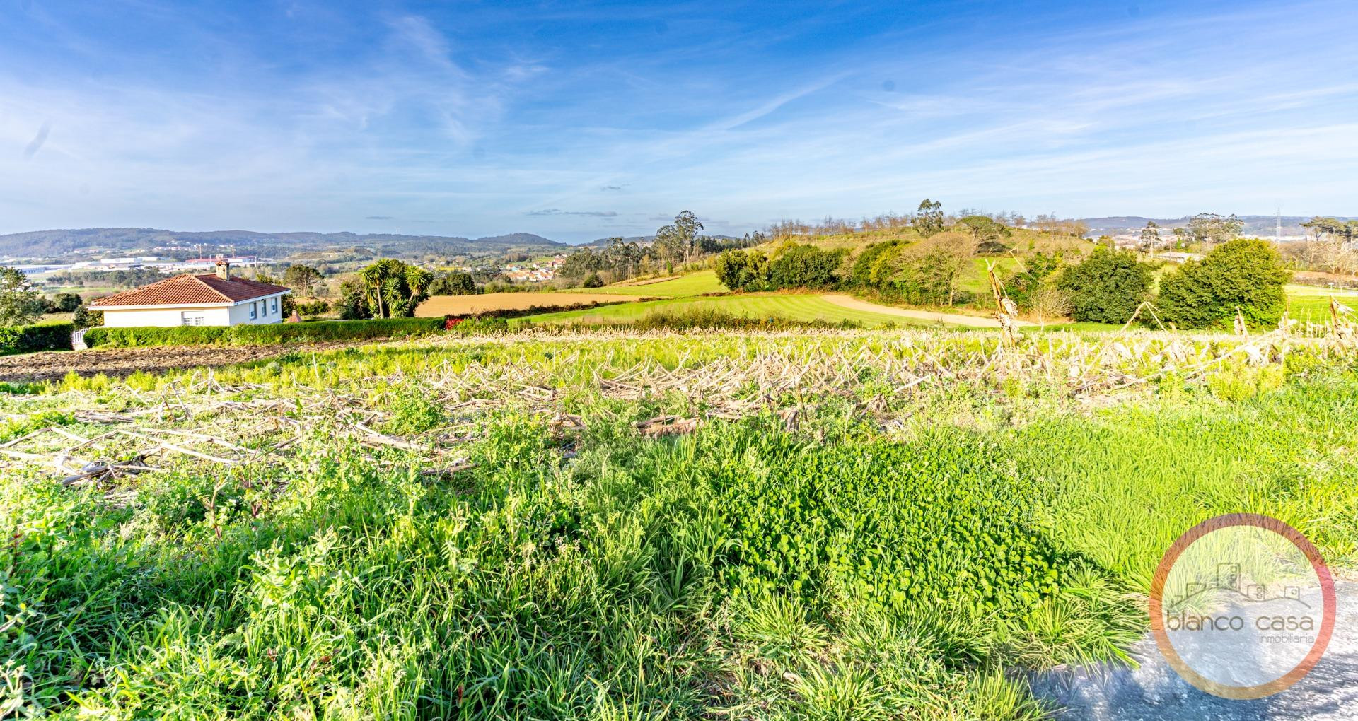 SOLAR de 1.510 m2 EN A LARACHA (A Coruña) por sólo 64.990 € - foto 3