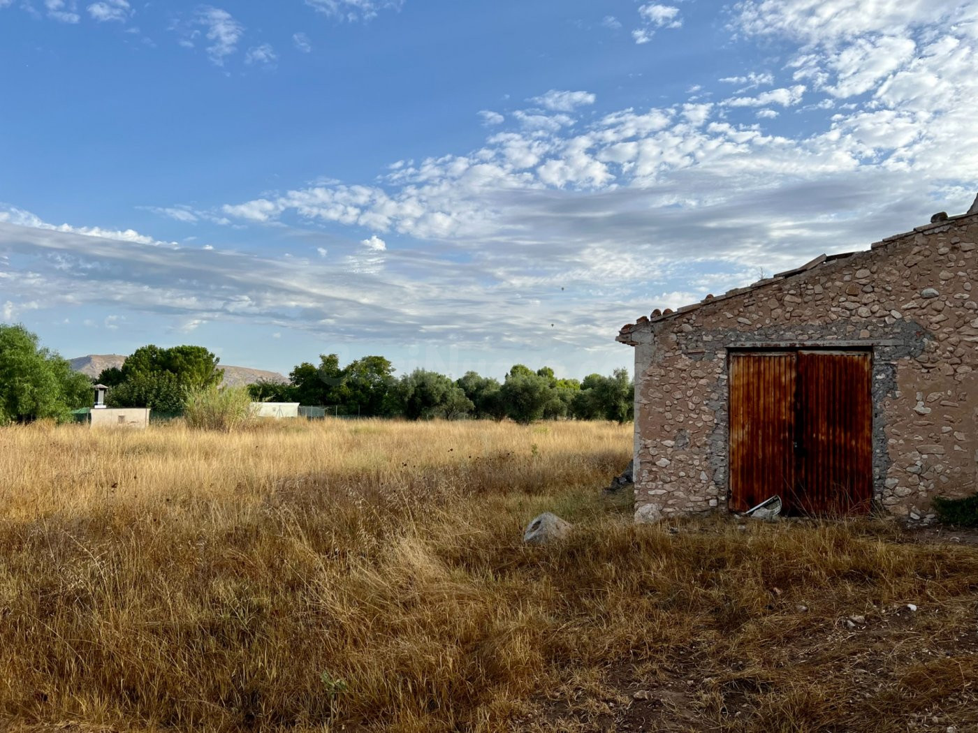 GRAN TERRENO EN PEÑA RUBIA - foto 2