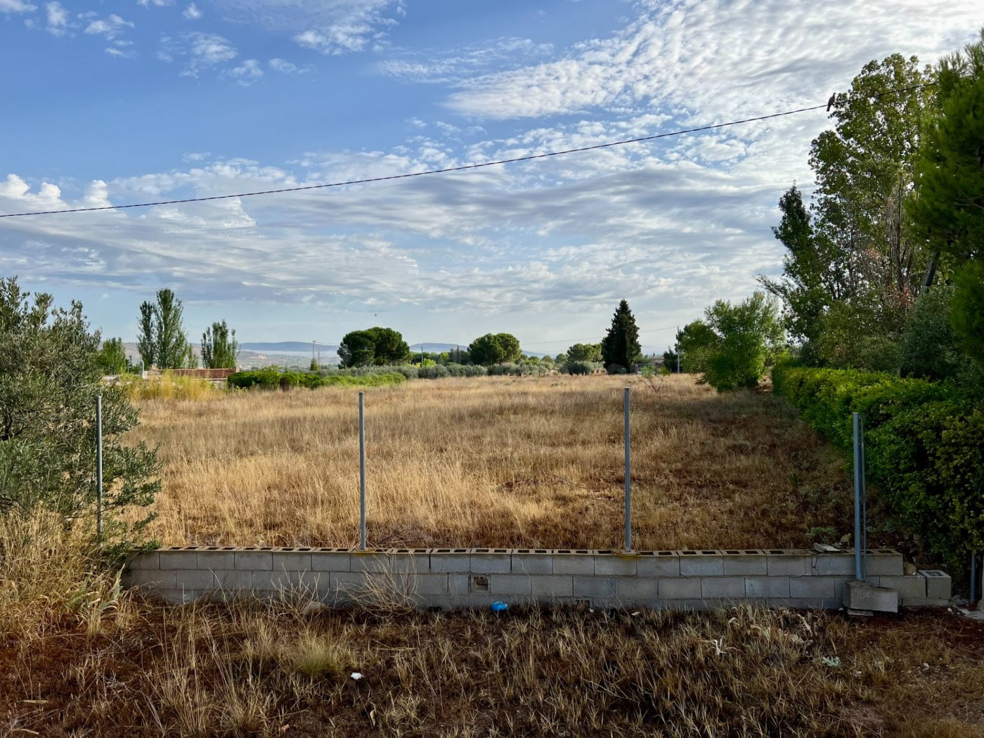 GRAN TERRENO EN PEÑA RUBIA - foto 3