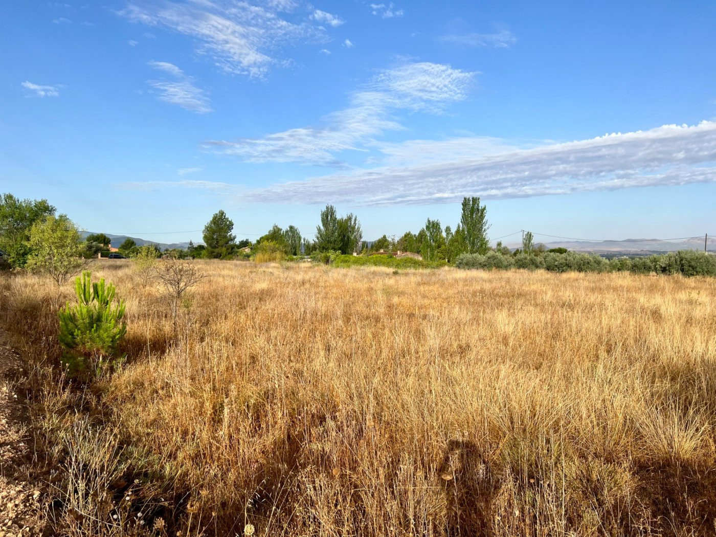 GRAN TERRENO EN PEÑA RUBIA - foto 4