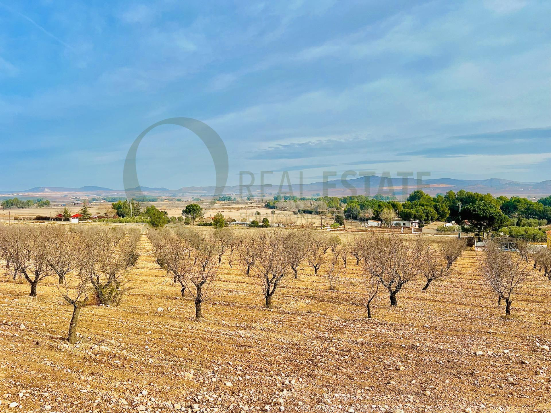 Terreno de Más de 50,000 m2 con Cultivo de Almendros en Las  - foto 3