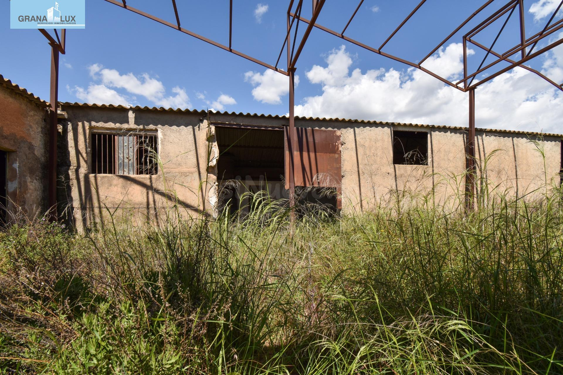 Nave industrial en el paraje del Ginatar, Dúrcal, a escasos  - foto 2