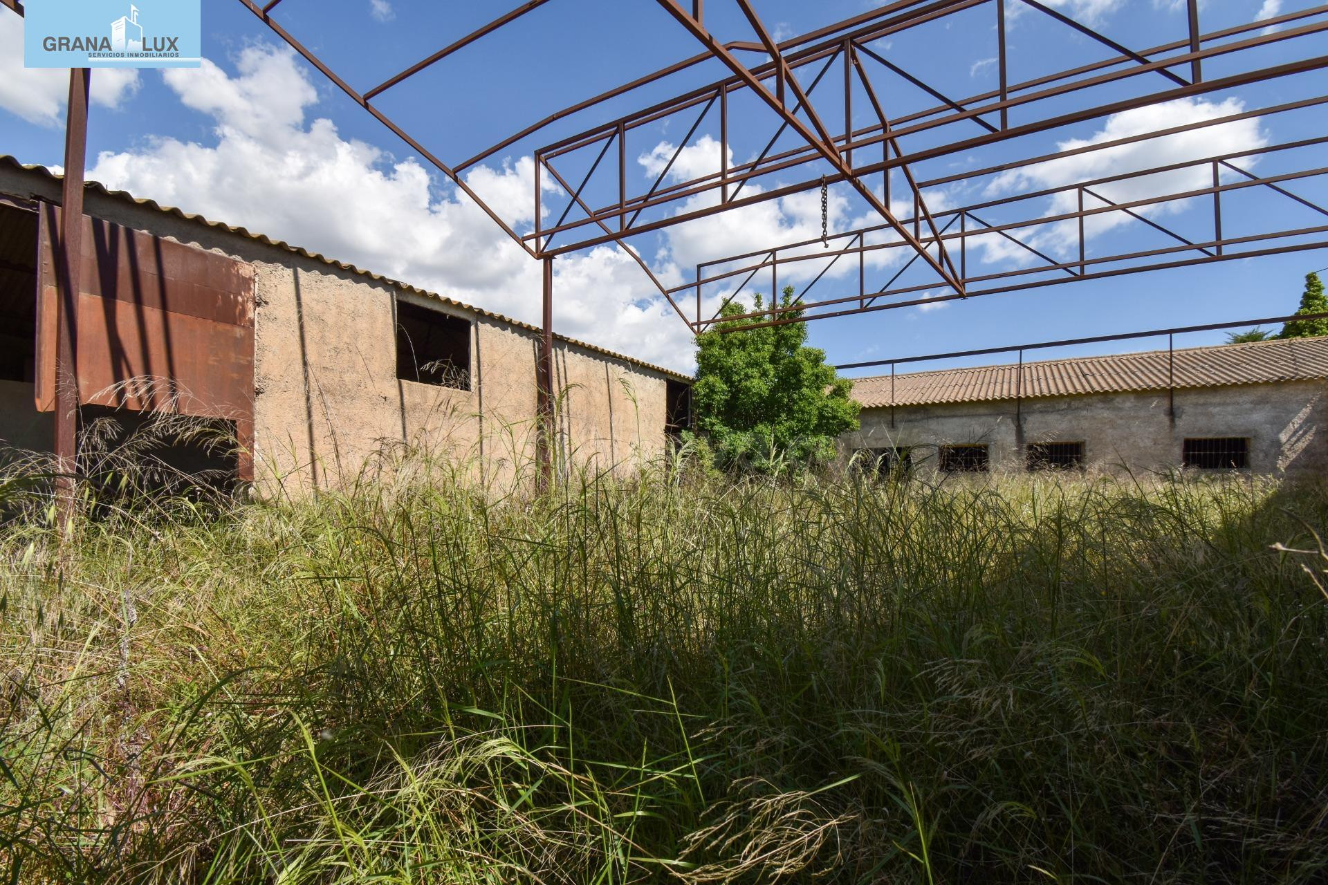 Nave industrial en el paraje del Ginatar, Dúrcal, a escasos  - foto 3