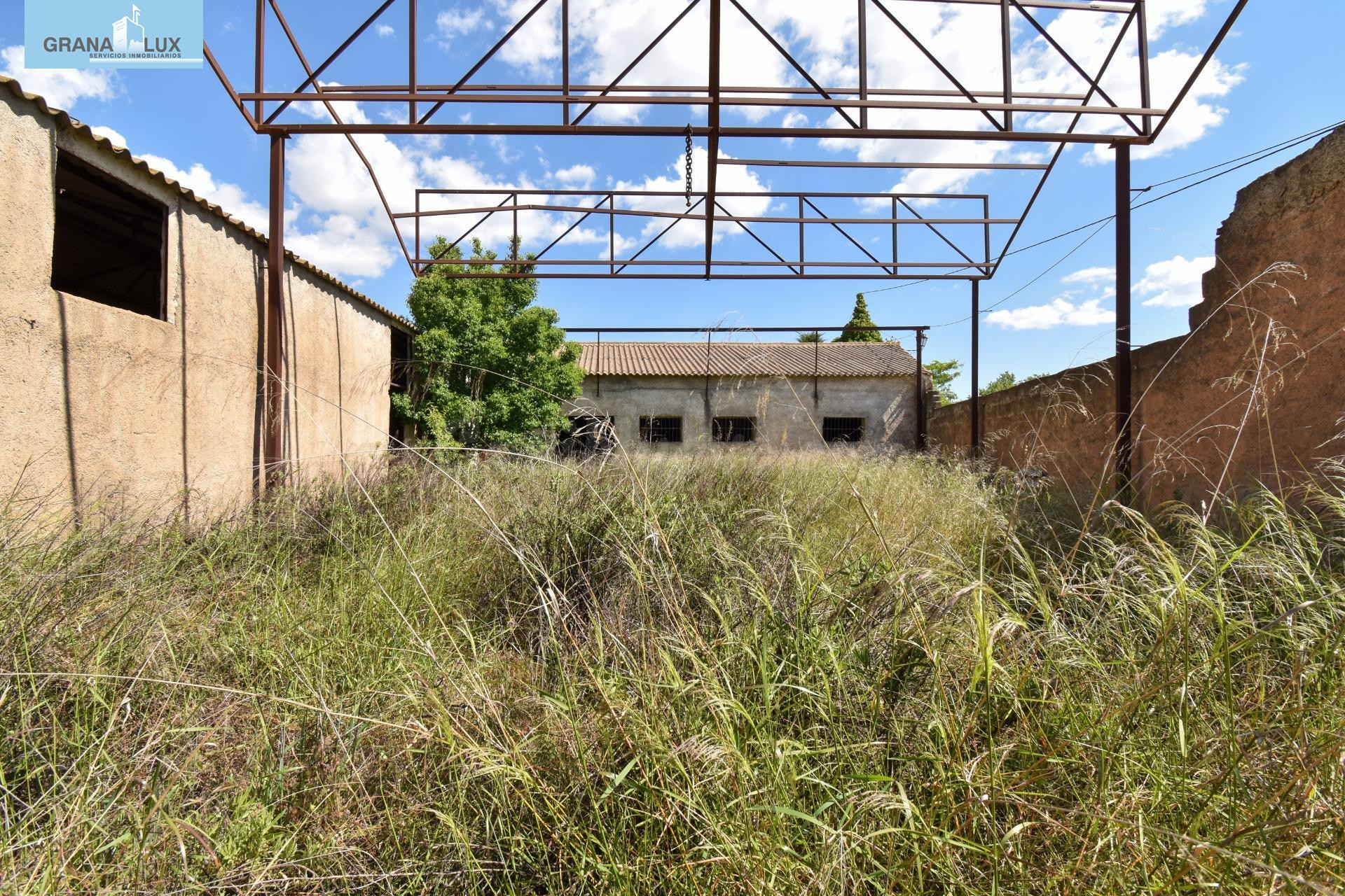 Nave industrial en el paraje del Ginatar, Dúrcal, a escasos  - foto 5