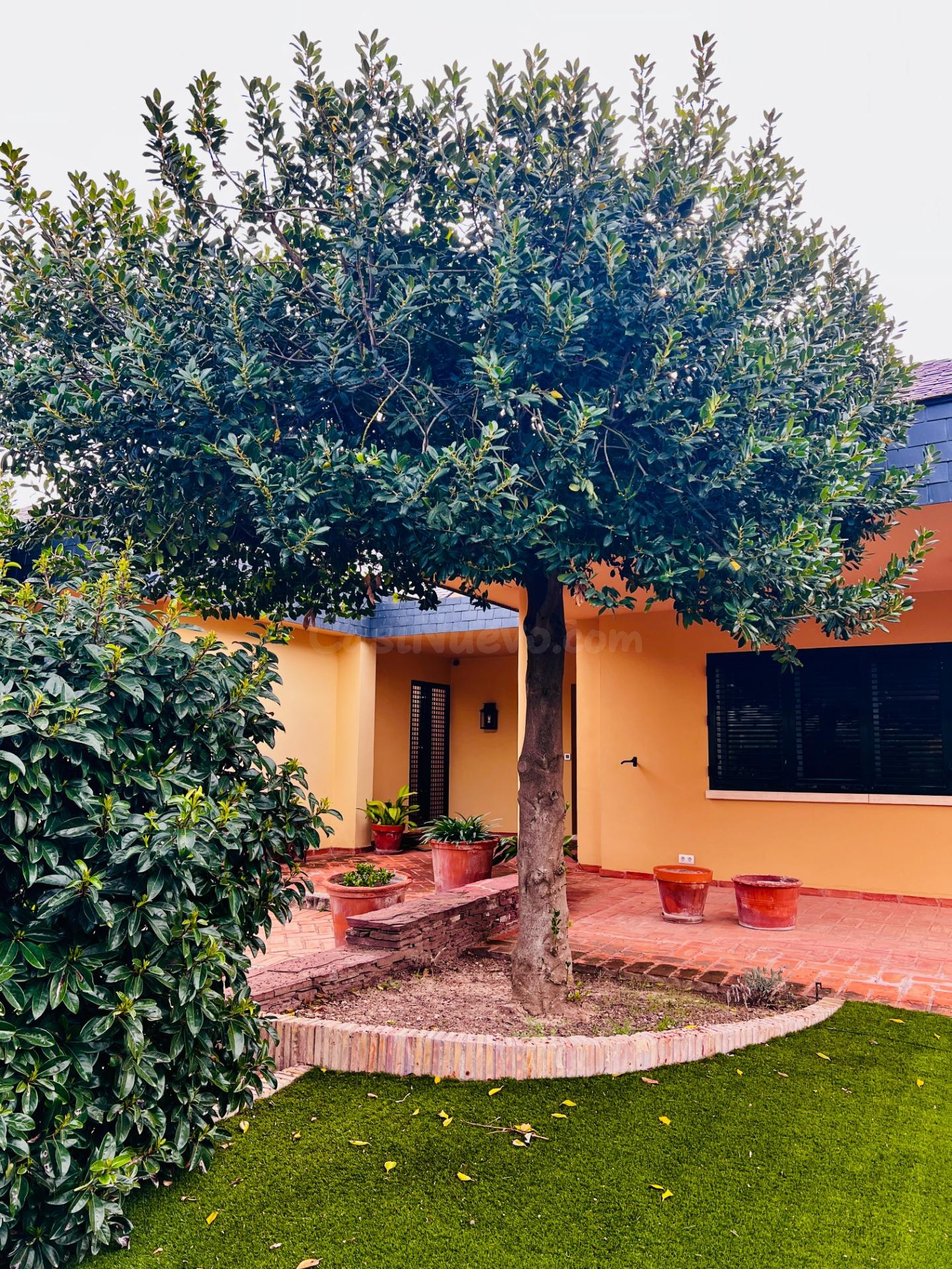 EXCLUSIVA VIVIENDA EN LA MEJOR URBANIZACIÓN DE IBI - foto 5