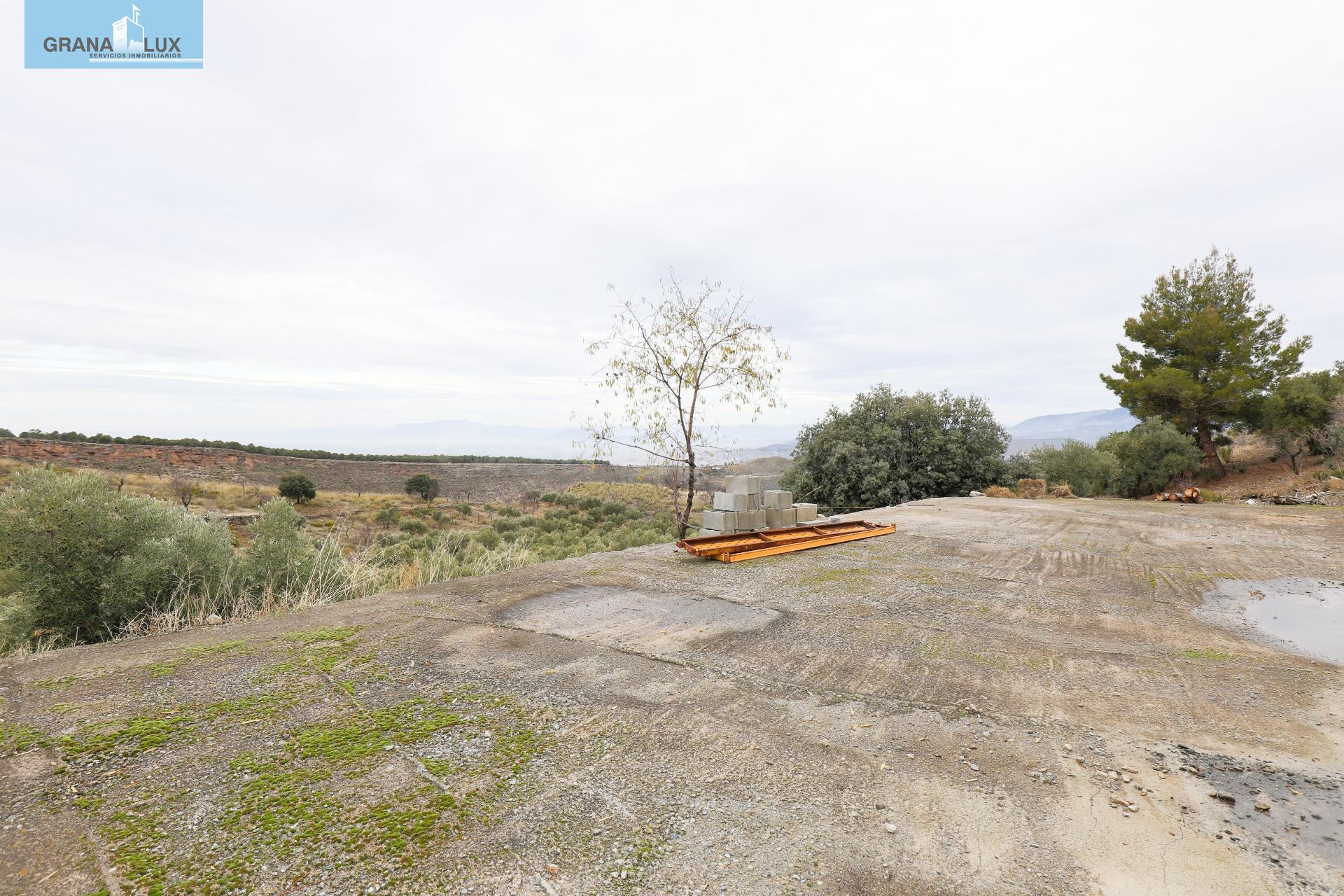 Magnífica finca de 400 olivos en Monachil