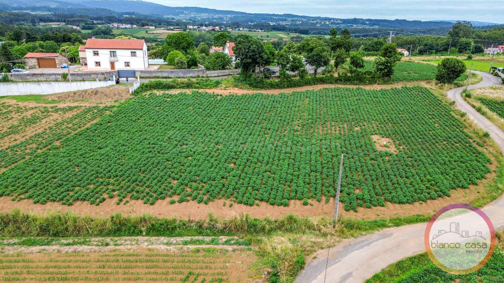 SOLAR urbano en XAVIÑA (CORISTANCO -A CORUÑA) por 59.990 €