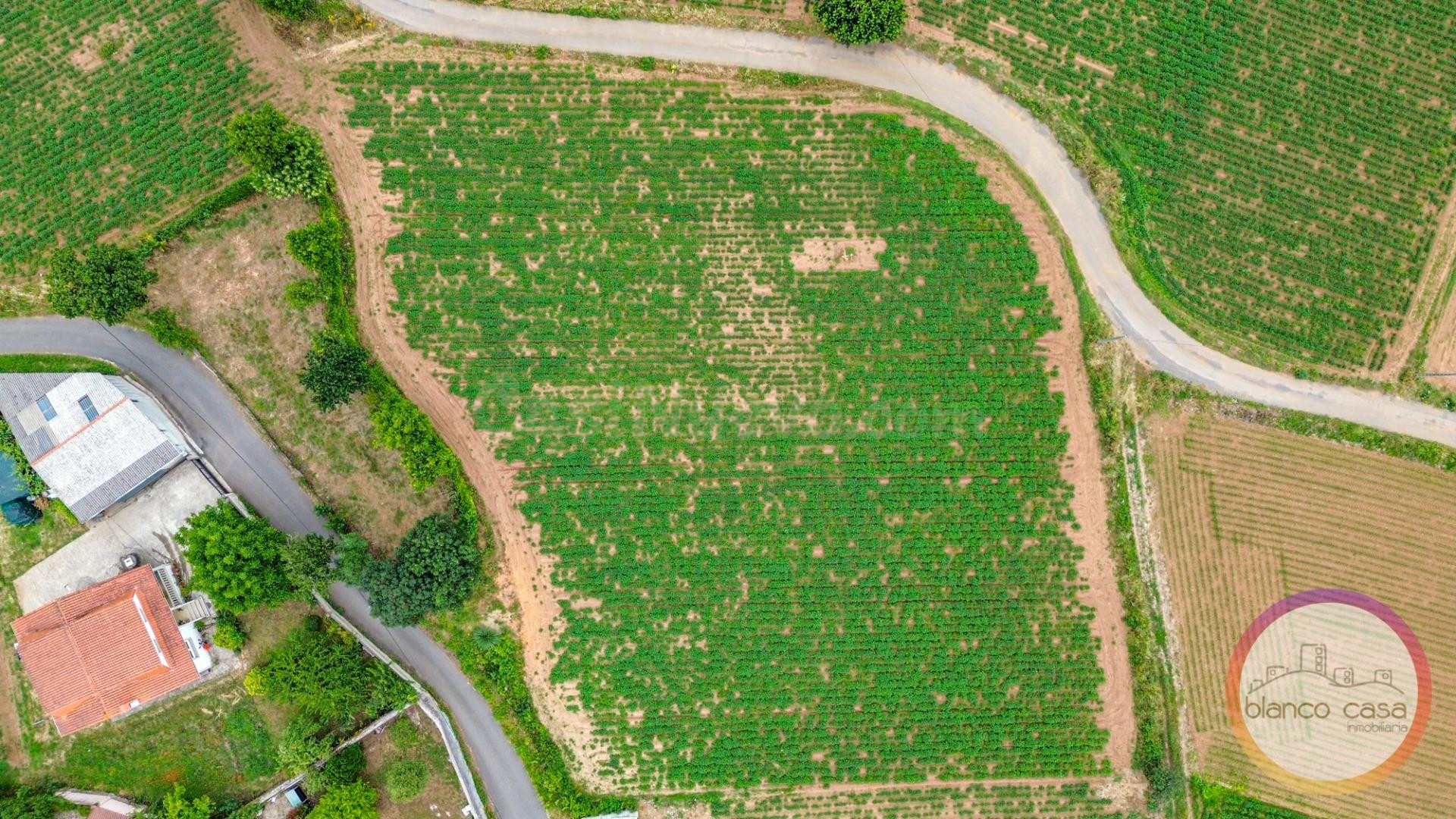 SOLAR urbano en XAVIÑA (CORISTANCO -A CORUÑA) por 59.990 € - foto 2