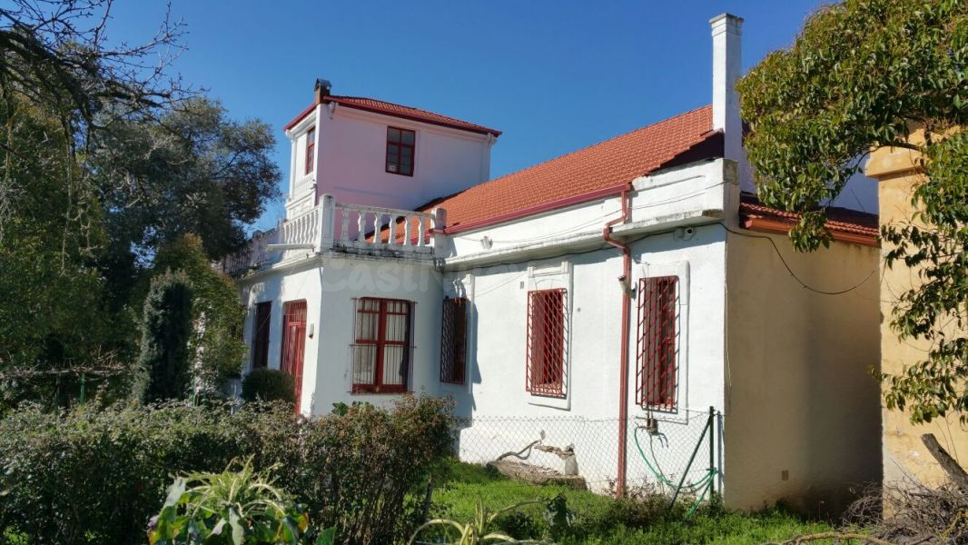 Casa con terreno 934m² en venta - Alta - foto 5