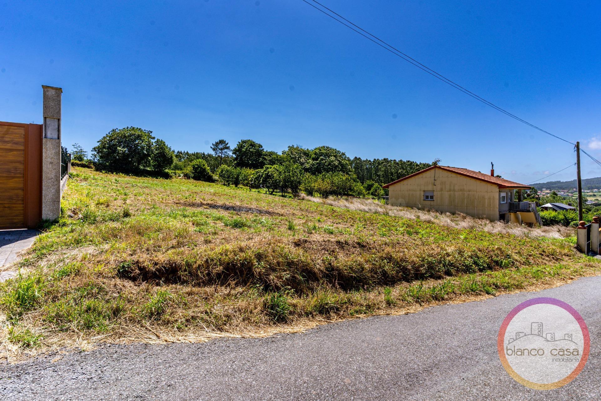 ✨ SOLAR URBANO en VENTA por 50.000 € a 5,5 KM de RAZO (Carba - foto 3