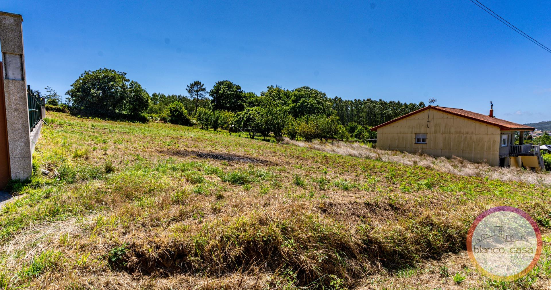 ✨ SOLAR URBANO en VENTA por 50.000 € a 5,5 KM de RAZO (Carba - foto 4