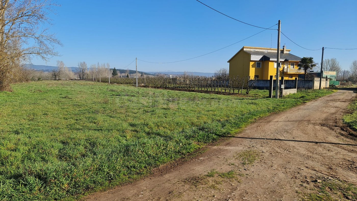 Finca Rustica - foto 4