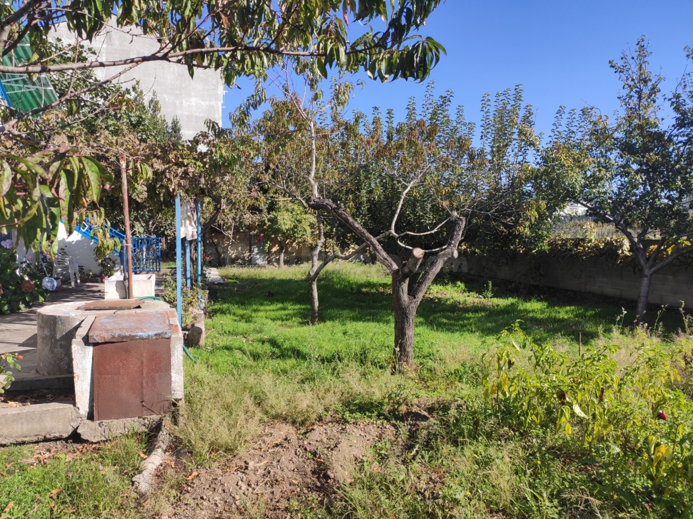 Casa con terreno en Cuatrovientos - foto 2