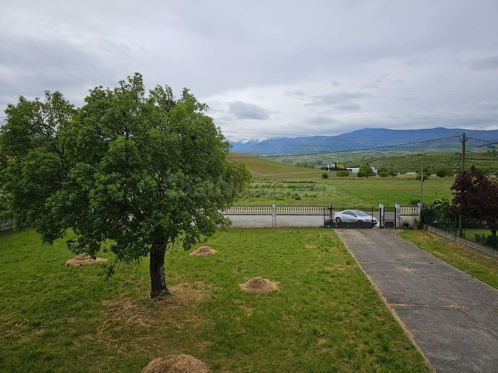 Chalet con Finca de 5.400 m2 en Campo - foto 5