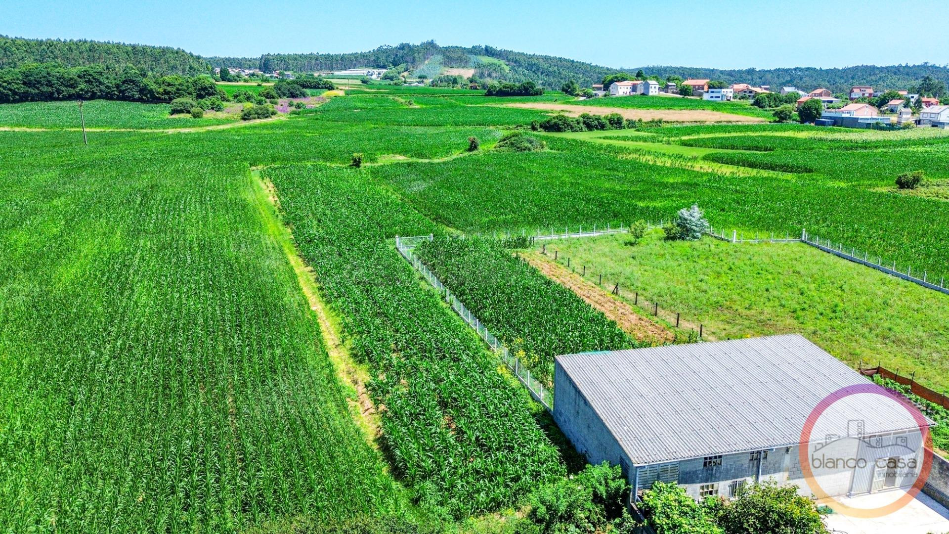 AMPLIO SOLAR en VENTA a 5 Km de la RAZO (Carballo - A Coruña - foto 4