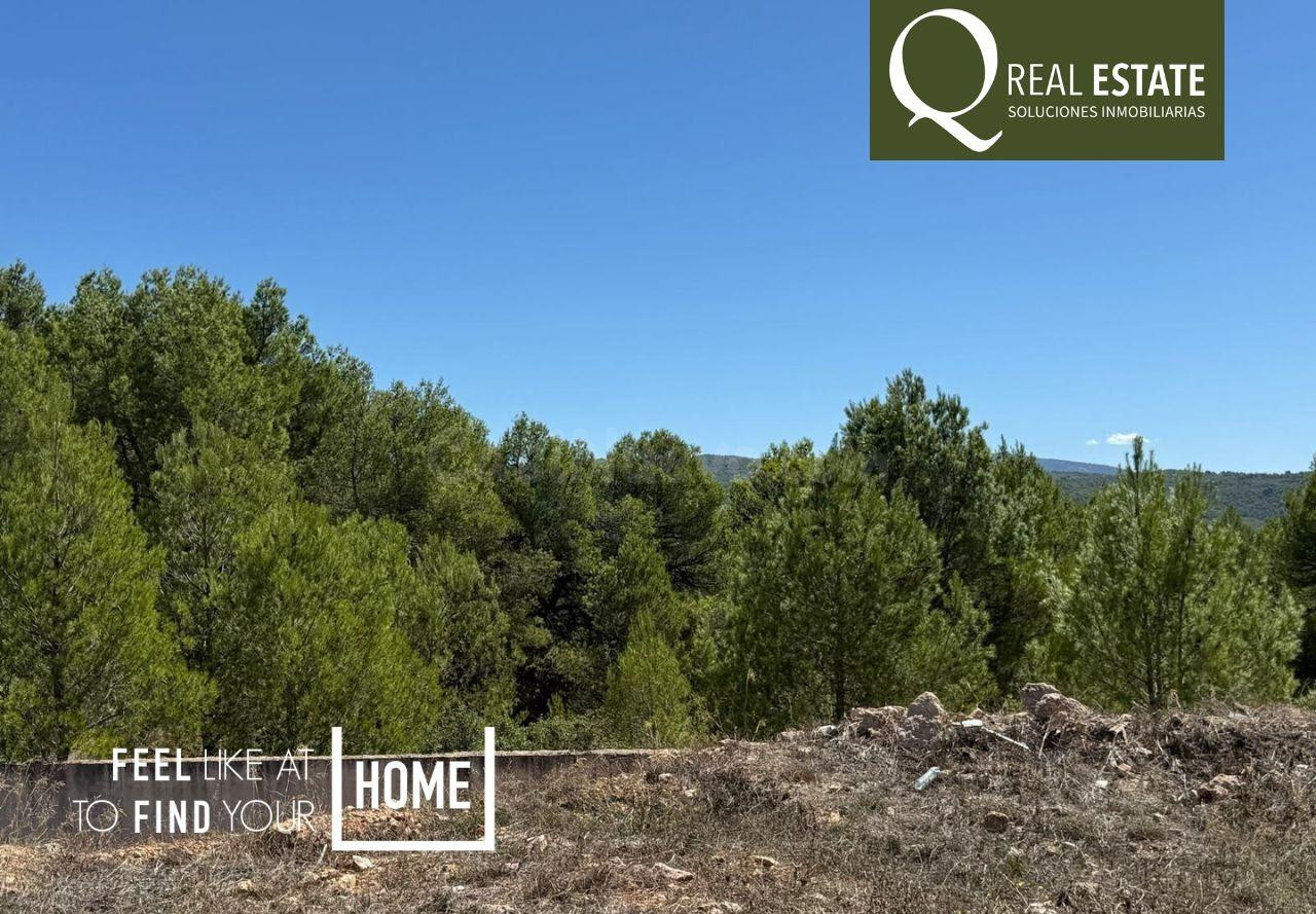 Parcela en Banyeres de Mariola – La Pedrera