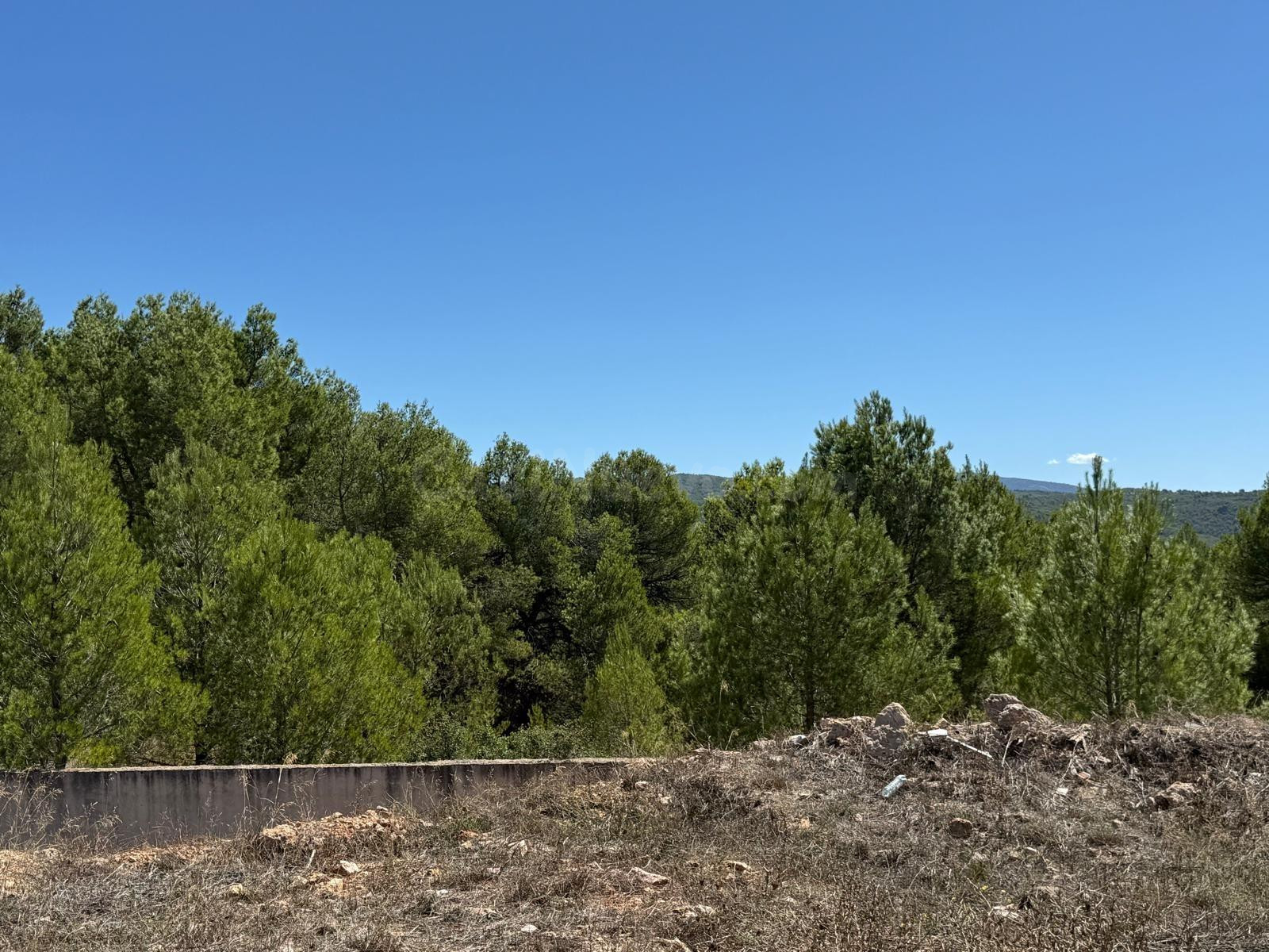 Parcela en Banyeres de Mariola – La Pedrera - foto 3