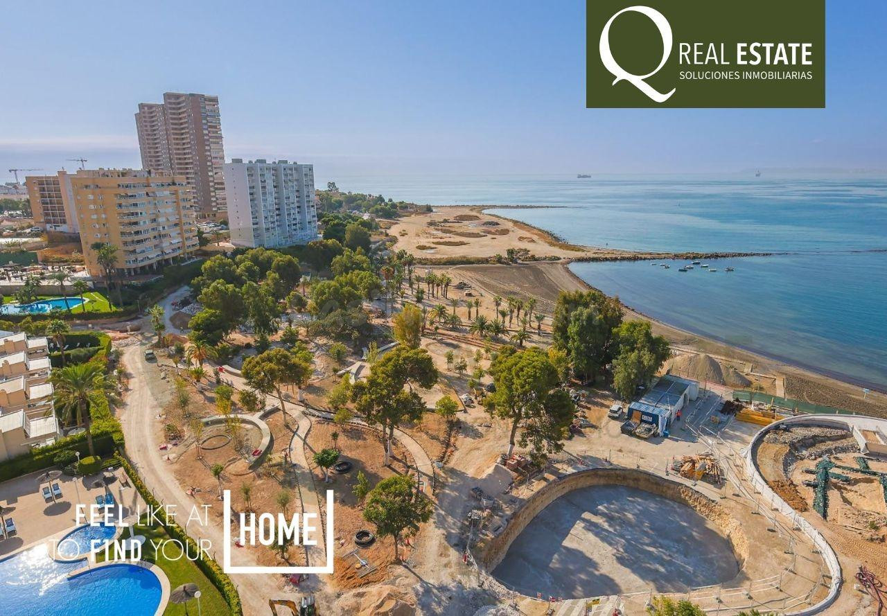 Ático 7 habitaciones 800m² en alquiler - Alicante