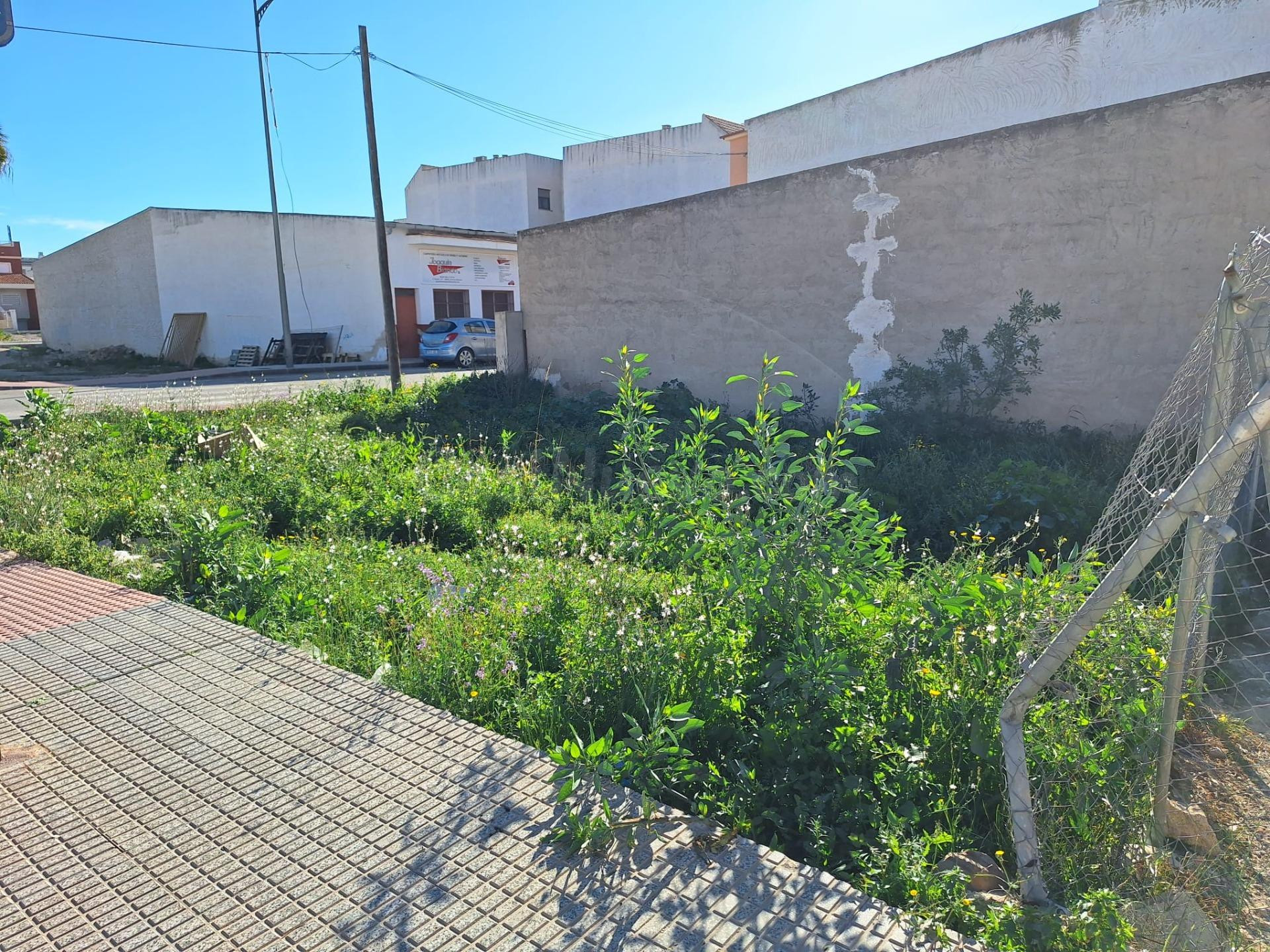Parcela urbana en Archena - foto 4