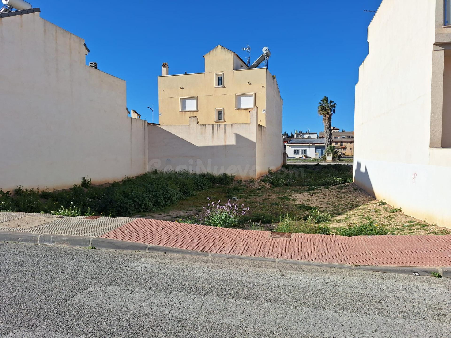 Parcela urbana en Archena
