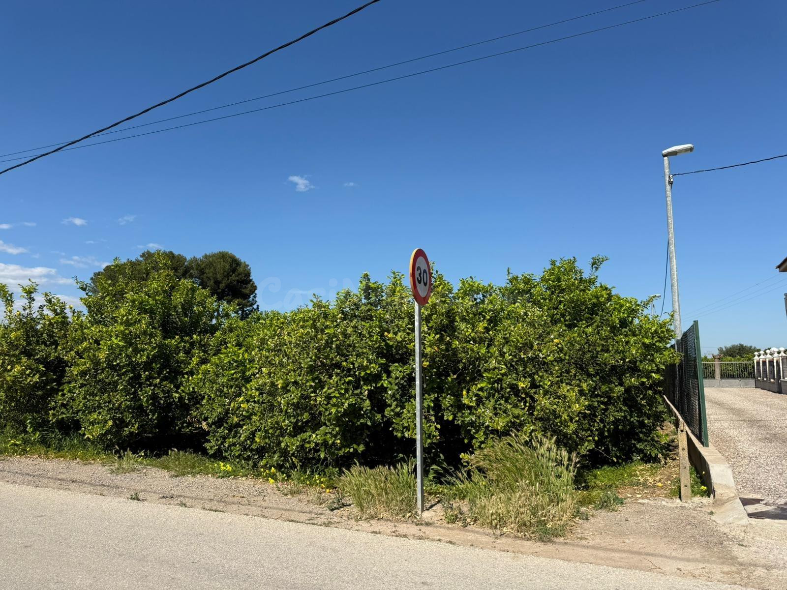 SE VENDEN DOS PARCELAS RÚSTICAS EN CARRIL DE LOS ALEJOS – LO - foto 2