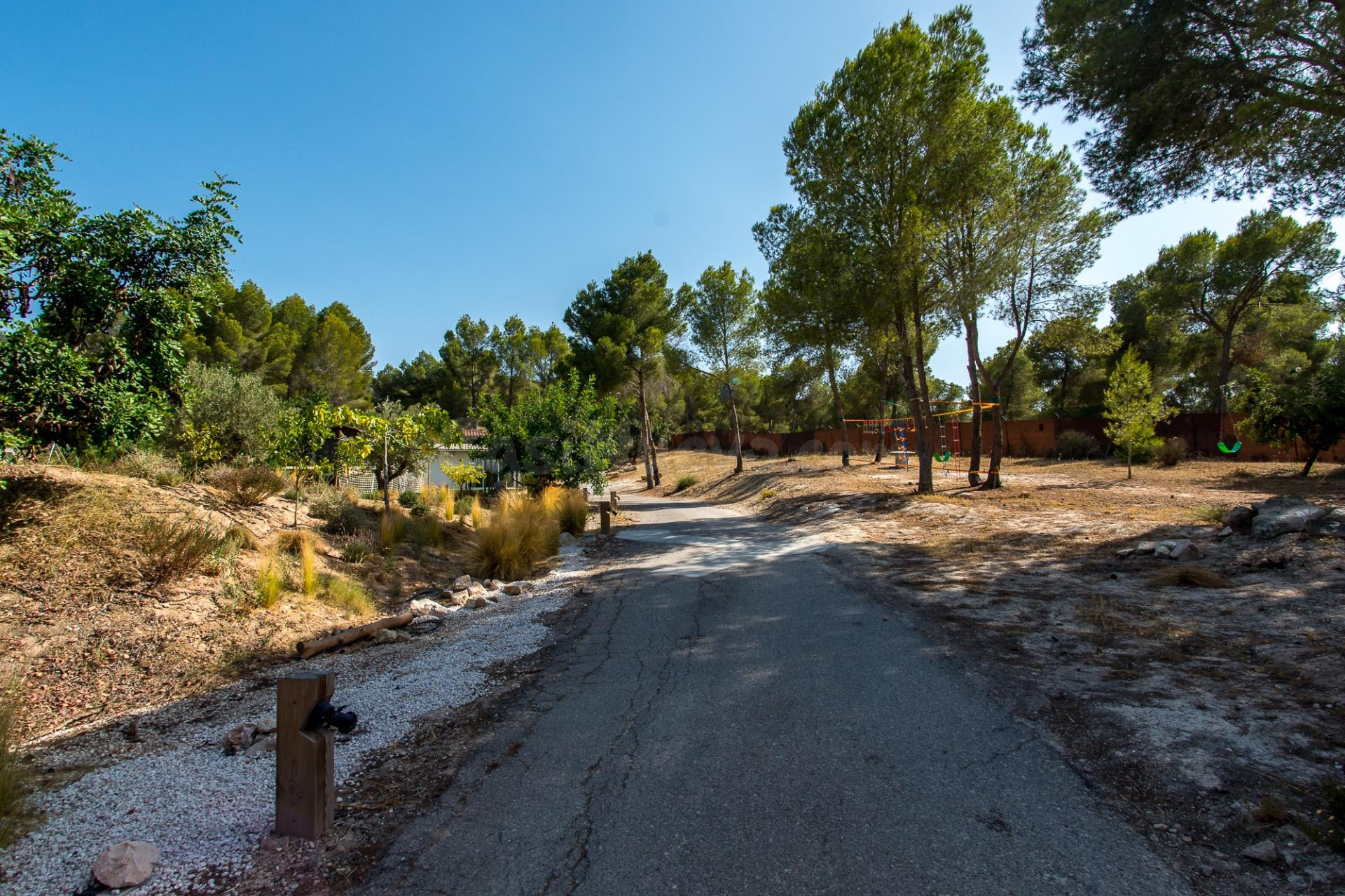 Exclusiva Finca Multiuso de 3000m2 en Los Pertigueros (El Pa - foto 4
