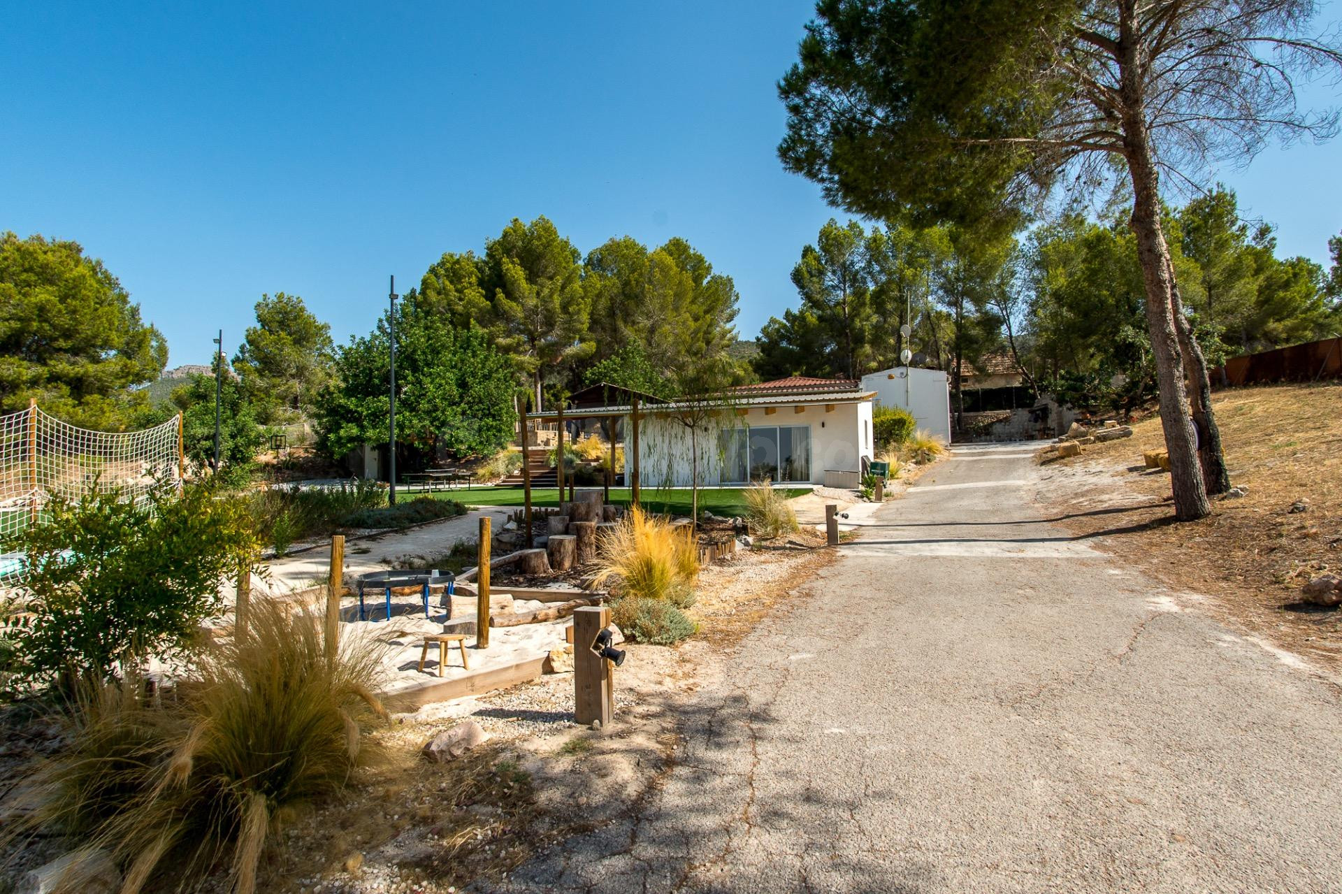 Exclusiva Finca Multiuso de 3000m2 en Los Pertigueros (El Pa - foto 5