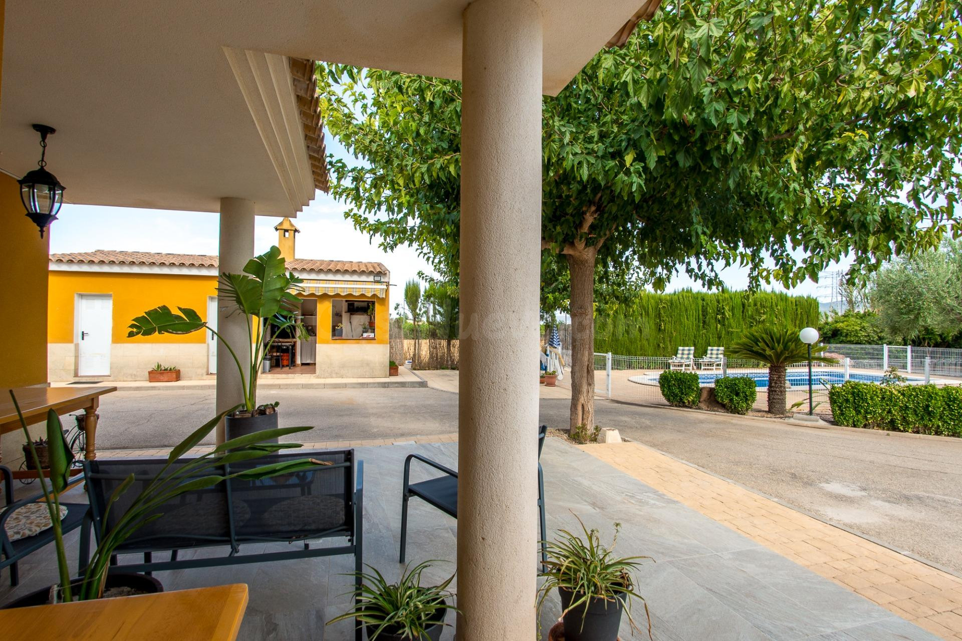 ESPECTACULAR FINCA CON VIVIENDA, PISCINA Y PLANTACIÓN EN SAN