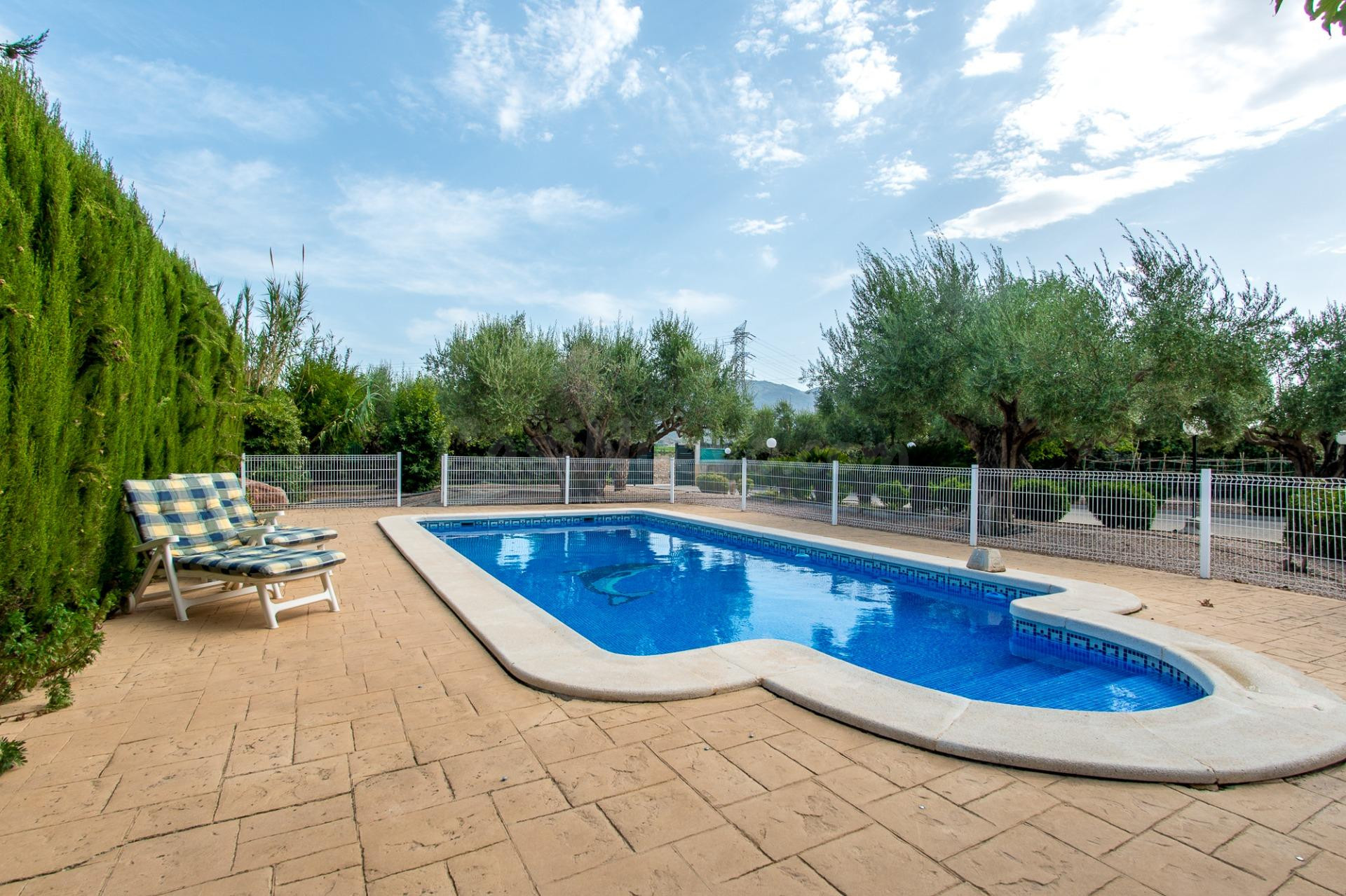 ESPECTACULAR FINCA CON VIVIENDA, PISCINA Y PLANTACIÓN EN SAN - foto 2