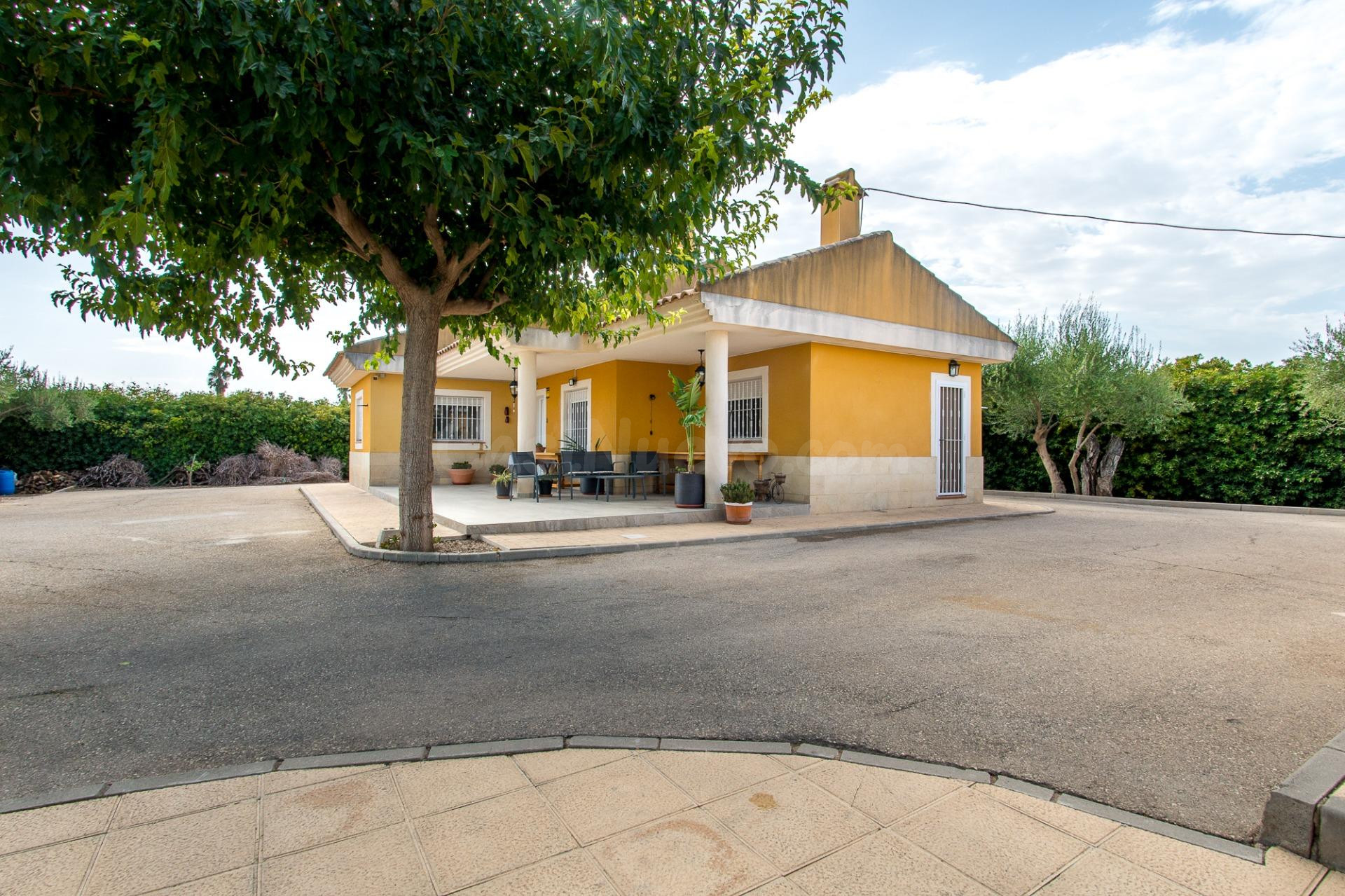 ESPECTACULAR FINCA CON VIVIENDA, PISCINA Y PLANTACIÓN EN SAN - foto 5