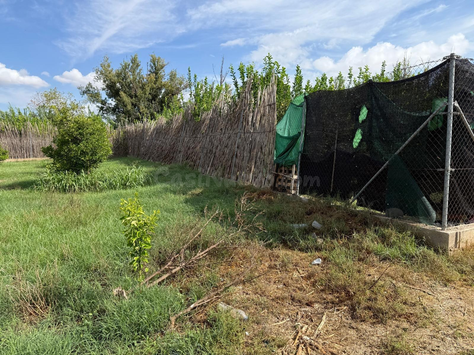 Se vende terreno rústico en Aljucer de 1400 m2 - foto 2