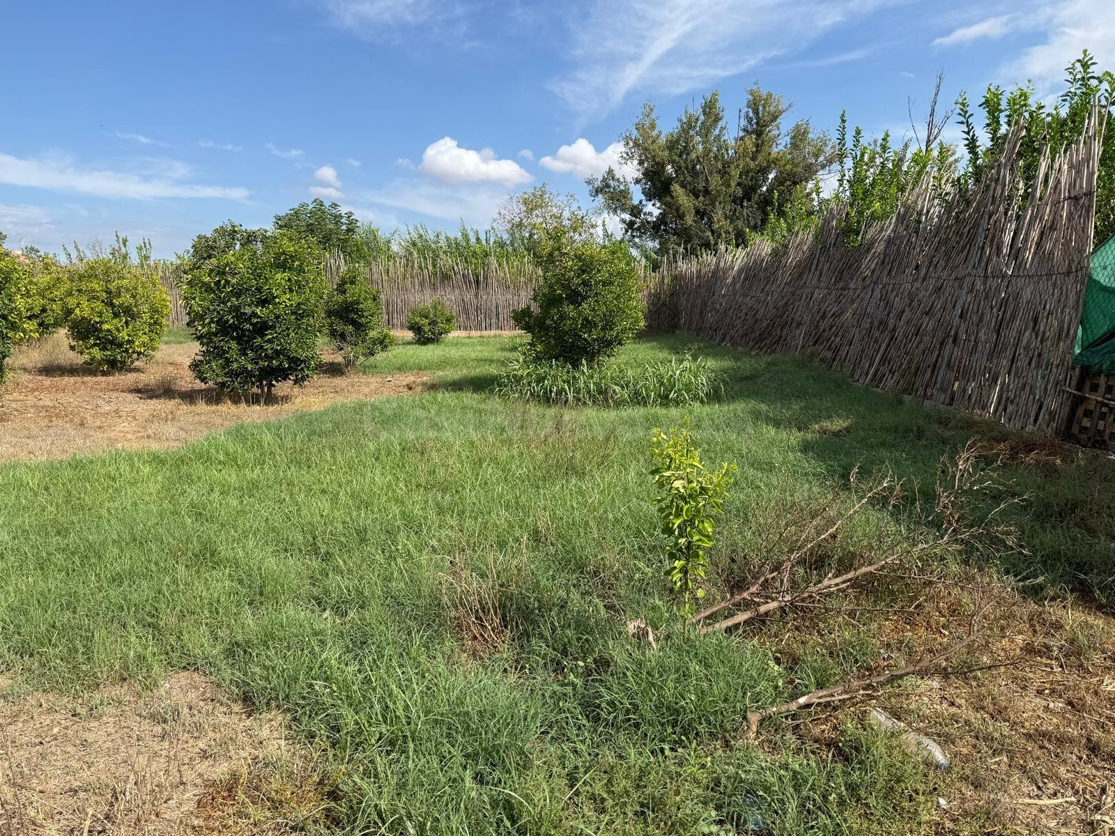 Se vende terreno rústico en Aljucer de 1400 m2 - foto 3
