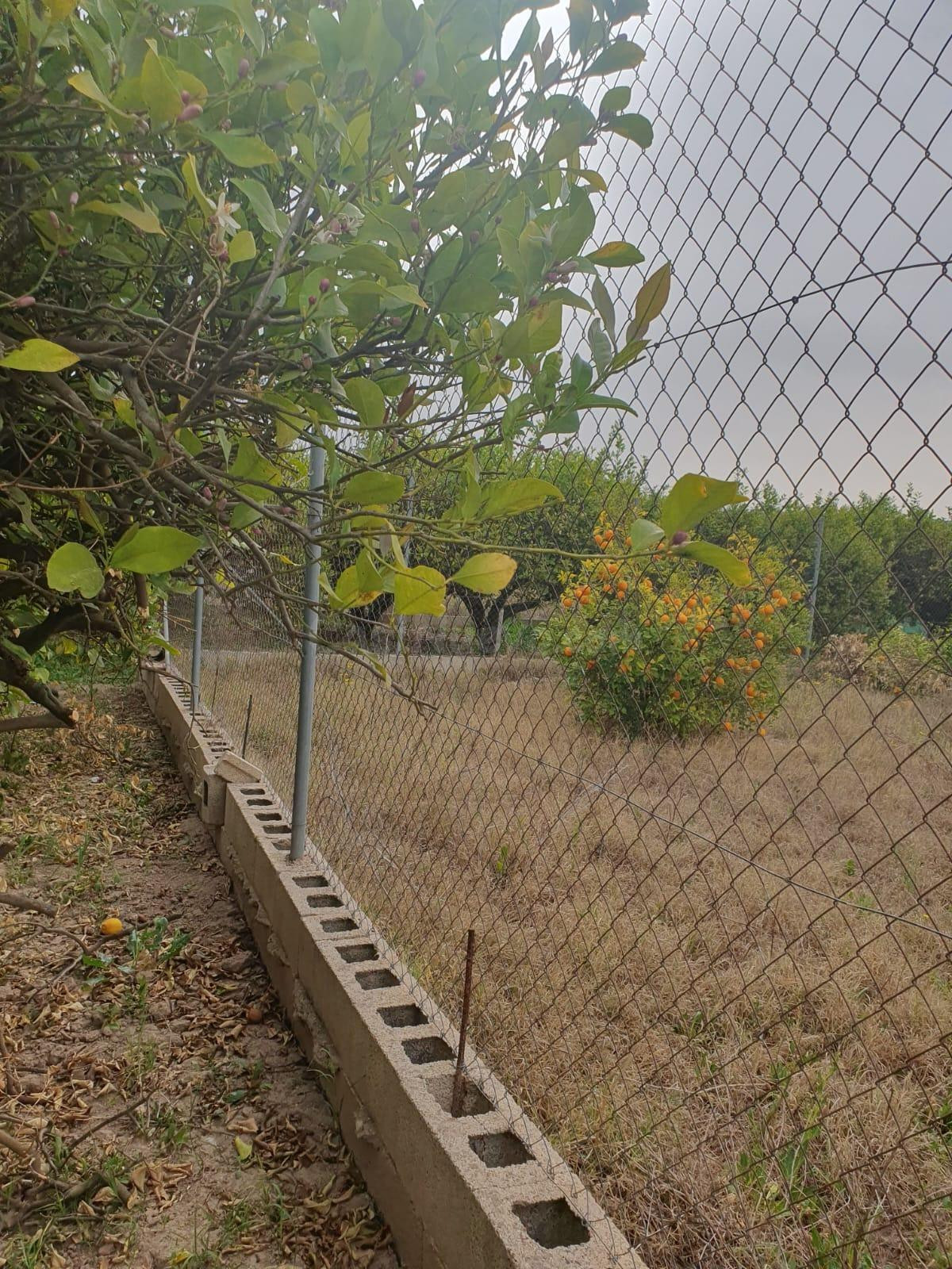 Se vende terreno rústico en Aljucer de 1400 m2 - foto 5