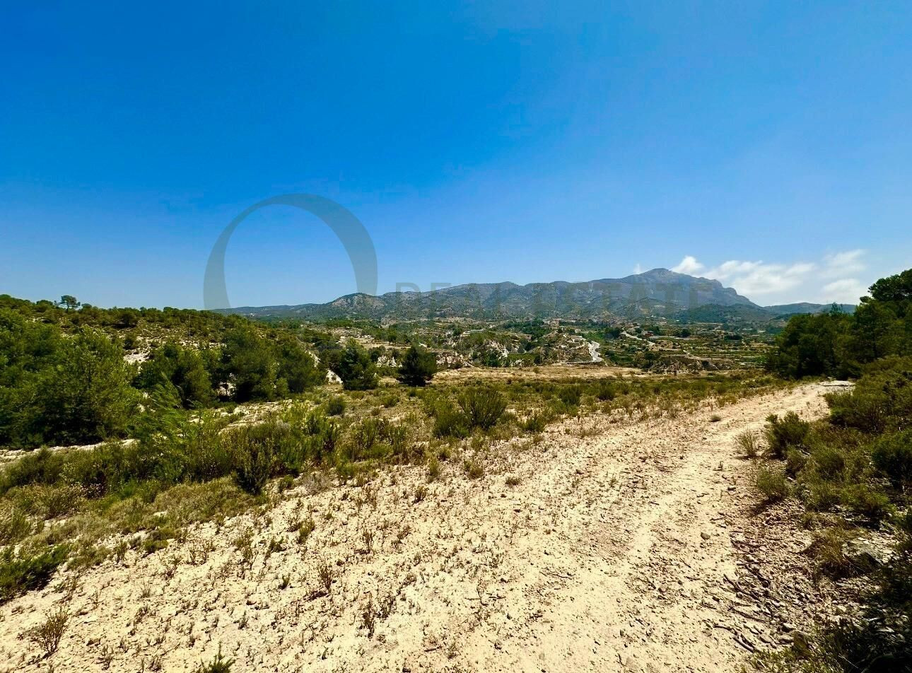 Fincas rústicas de 138.839 m2 en Tibi con vivienda y gran po - foto 2