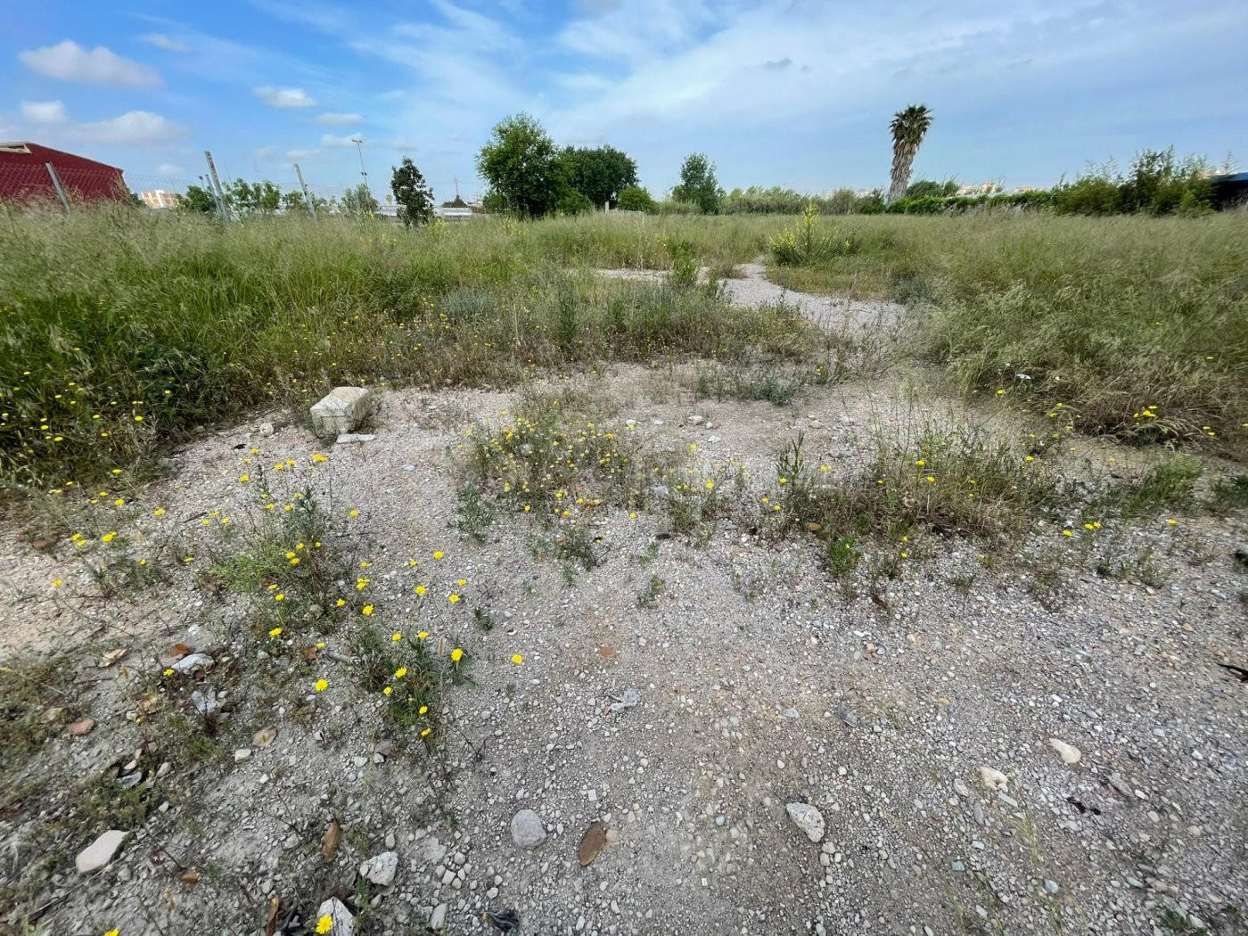 Terreno en alquiler en La Punta (Quatre Carreres) - foto 3